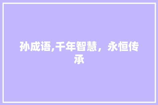 孙成语,千年智慧，永恒传承