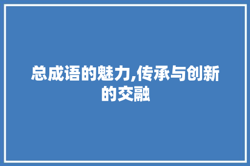 总成语的魅力,传承与创新的交融