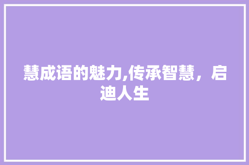 慧成语的魅力,传承智慧，启迪人生