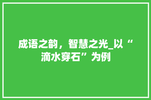 成语之韵，智慧之光_以“滴水穿石”为例