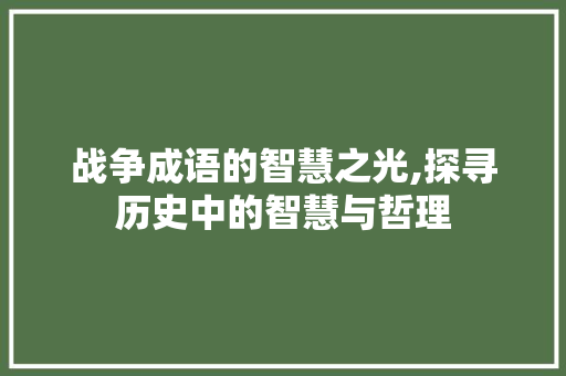 战争成语的智慧之光,探寻历史中的智慧与哲理