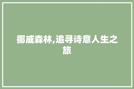 挪威森林,追寻诗意人生之旅