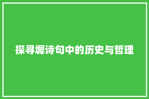 探寻墀诗句中的历史与哲理