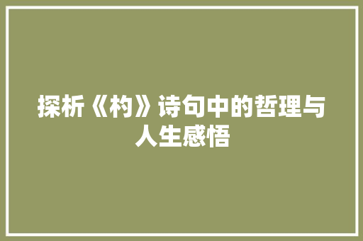 探析《杓》诗句中的哲理与人生感悟
