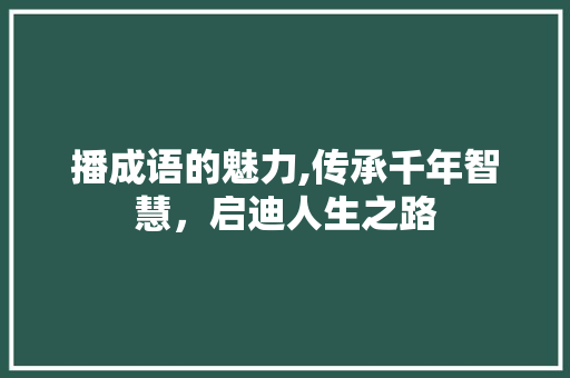 播成语的魅力,传承千年智慧，启迪人生之路