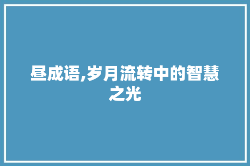 昼成语,岁月流转中的智慧之光