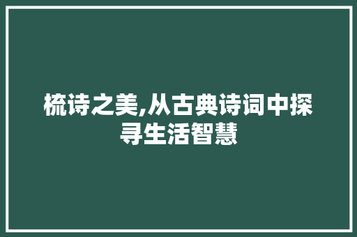 梳诗之美,从古典诗词中探寻生活智慧