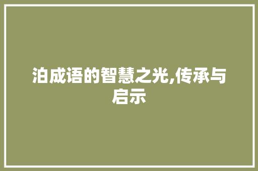 泊成语的智慧之光,传承与启示