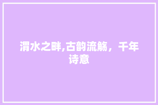 渭水之畔,古韵流觞，千年诗意