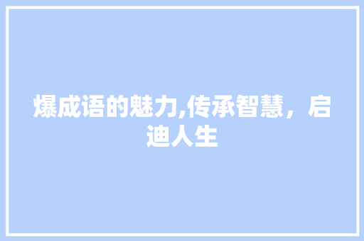爆成语的魅力,传承智慧，启迪人生