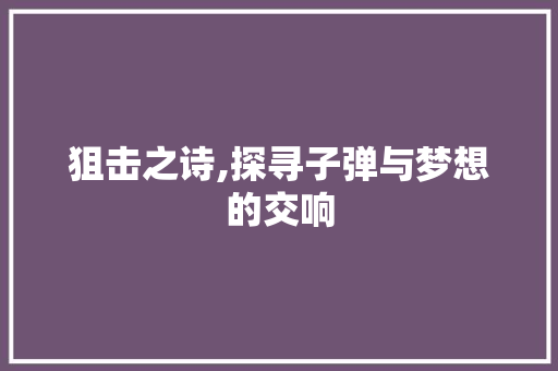 狙击之诗,探寻子弹与梦想的交响