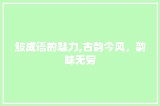 皱成语的魅力,古韵今风，韵味无穷