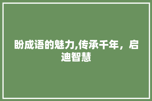盼成语的魅力,传承千年，启迪智慧
