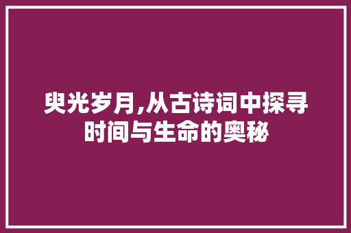 臾光岁月,从古诗词中探寻时间与生命的奥秘