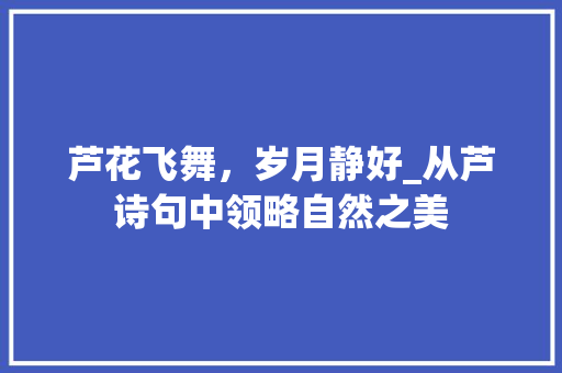 芦花飞舞，岁月静好_从芦诗句中领略自然之美