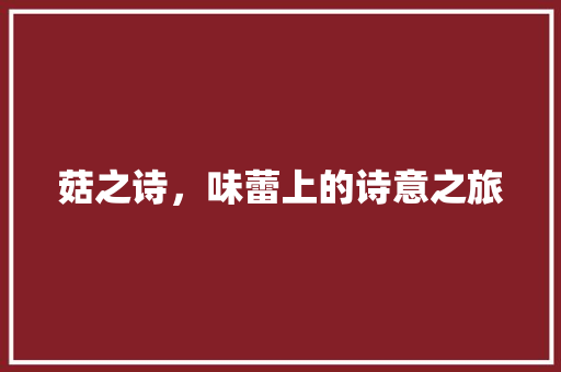 菇之诗，味蕾上的诗意之旅