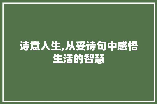 诗意人生,从妥诗句中感悟生活的智慧