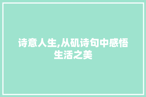 诗意人生,从矶诗句中感悟生活之美