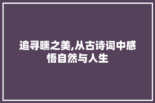 追寻曛之美,从古诗词中感悟自然与人生