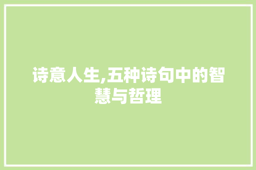 诗意人生,五种诗句中的智慧与哲理