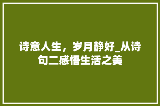 诗意人生，岁月静好_从诗句二感悟生活之美