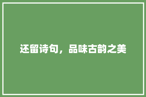 还留诗句，品味古韵之美