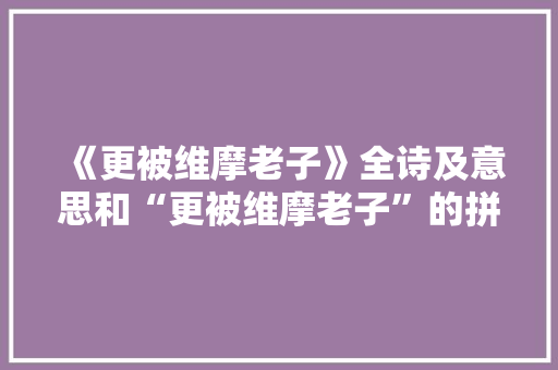 《更被维摩老子》全诗及意思和“更被维摩老子”的拼音注释 诗词鉴赏