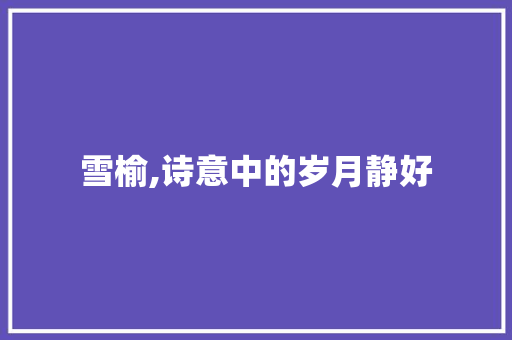 雪榆,诗意中的岁月静好