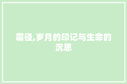 霜径,岁月的印记与生命的沉思