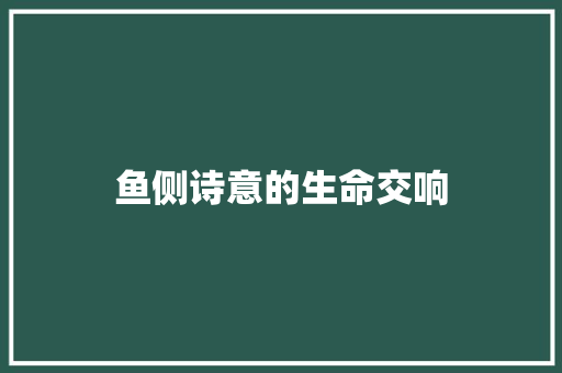 鱼侧诗意的生命交响