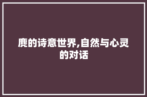 麂的诗意世界,自然与心灵的对话