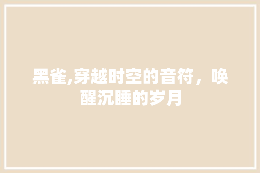 黑雀,穿越时空的音符，唤醒沉睡的岁月