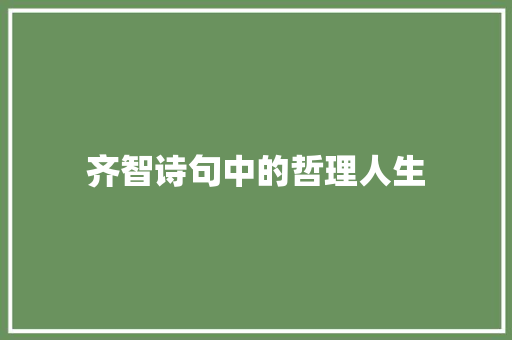 齐智诗句中的哲理人生