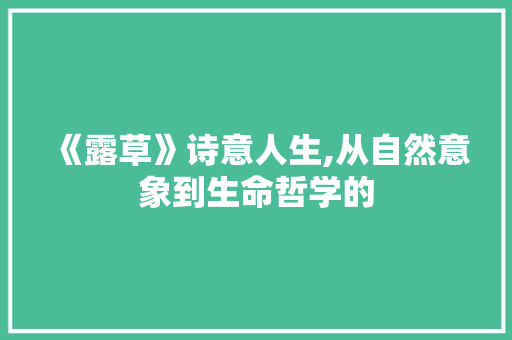 《露草》诗意人生,从自然意象到生命哲学的