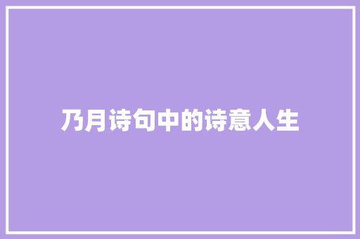 乃月诗句中的诗意人生