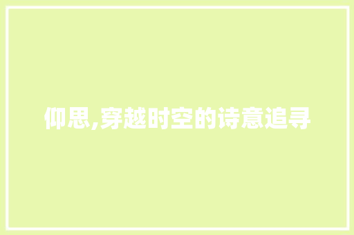 仰思,穿越时空的诗意追寻 诗词体裁