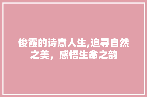 俊霞的诗意人生,追寻自然之美，感悟生命之韵 职场写作
