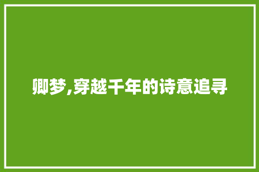 卿梦,穿越千年的诗意追寻