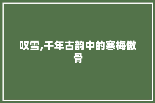 叹雪,千年古韵中的寒梅傲骨