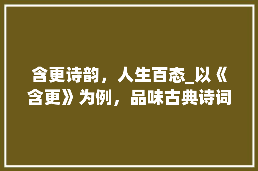 含更诗韵，人生百态_以《含更》为例，品味古典诗词之美