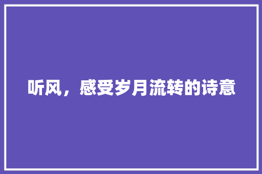 听风，感受岁月流转的诗意