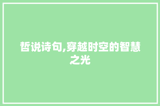 哲说诗句,穿越时空的智慧之光