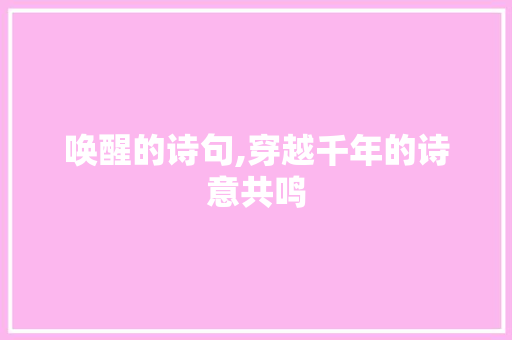 唤醒的诗句,穿越千年的诗意共鸣
