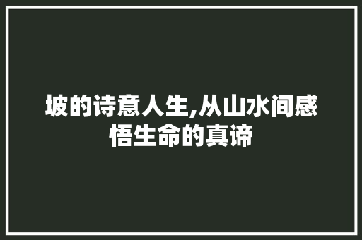 坡的诗意人生,从山水间感悟生命的真谛 工作总结