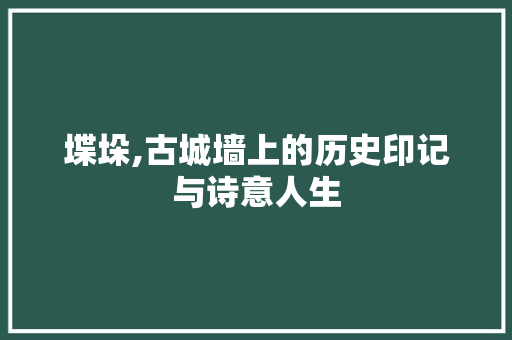 堞垛,古城墙上的历史印记与诗意人生