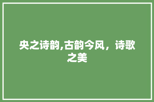 央之诗韵,古韵今风，诗歌之美 职场写作