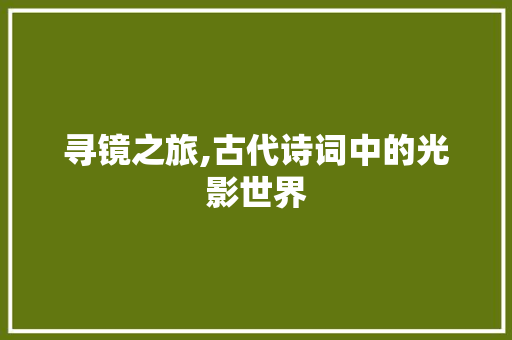 寻镜之旅,古代诗词中的光影世界