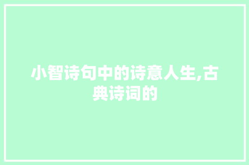 小智诗句中的诗意人生,古典诗词的