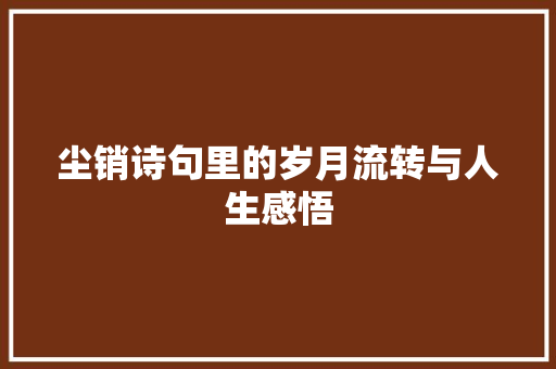 尘销诗句里的岁月流转与人生感悟