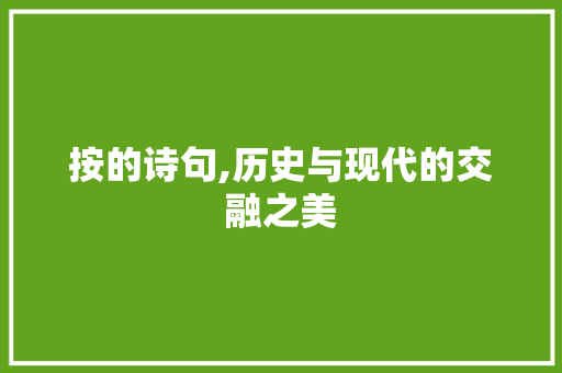 按的诗句,历史与现代的交融之美